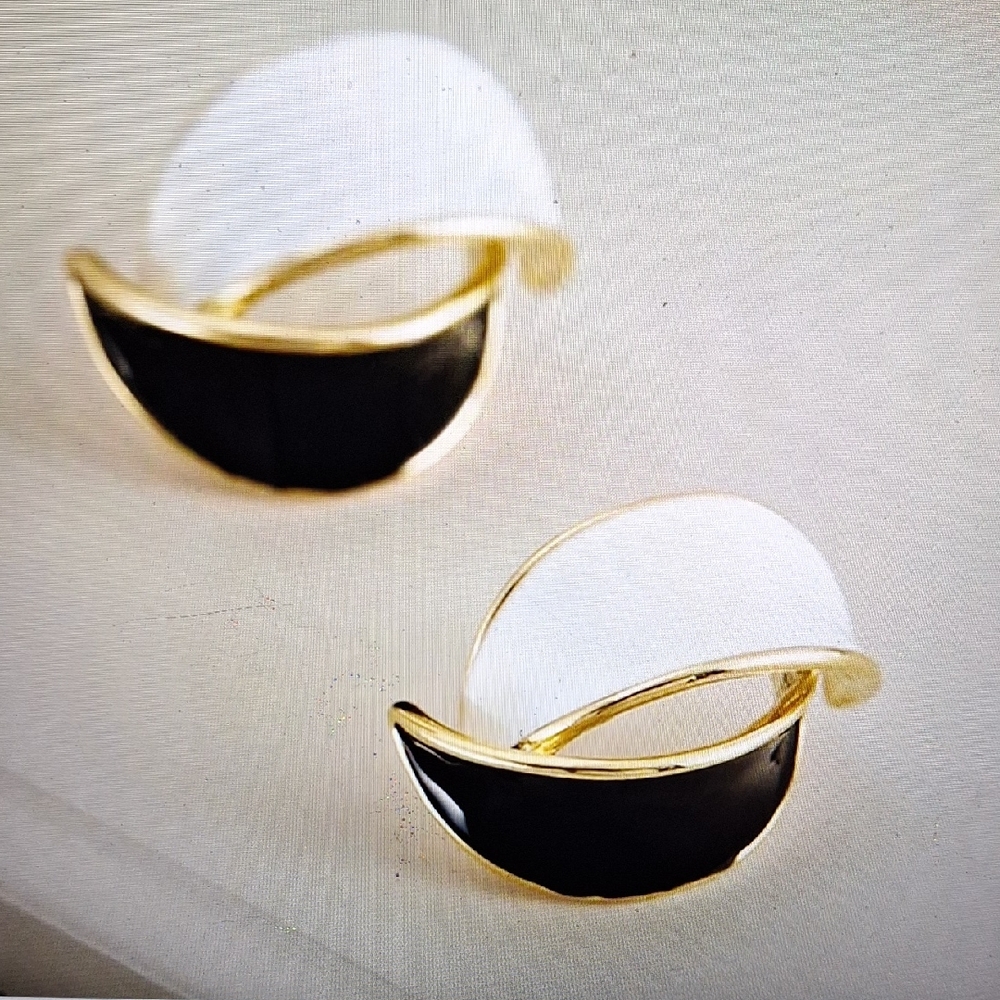 Elegant Black and White Earrings